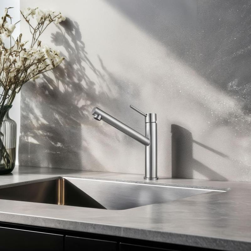 Franke Orbit massief roestvrijstalen hoge keukenkraan met draaibare uitloop inox 115.0600.928