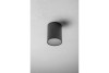 Ceiling luminaire LENTO, alum, 100x130, IP54, MAX.35W, round, graphite