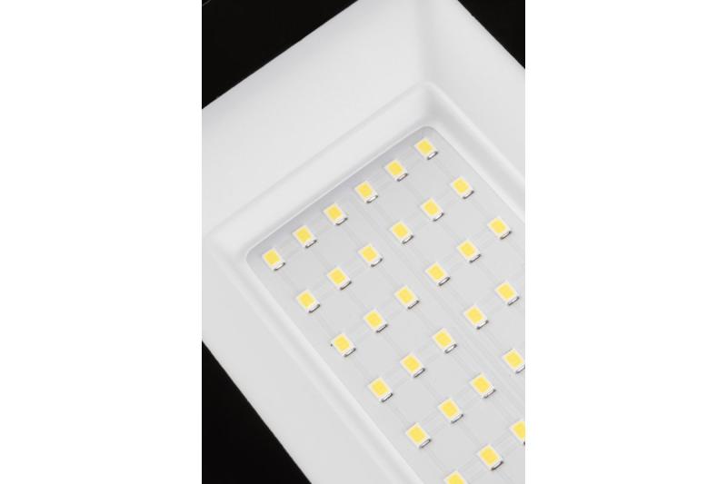 NELI Kannettava Valonheitin, LED, 30W, 2700lm, 6400K, AC220-240V, IP65, 1.5m kaapeli