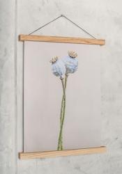 Woodsea Frame S - Tammi magneettikehys S (A4) 1208971603